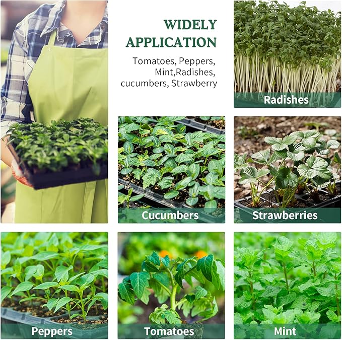 Seed Starter Tray, 5PCS Seed Starter Kit with Humidity Dome, Seedling Starter Tray 60 Cells Total, Mini Greenhouse for Indoor Plants, Indoor Germination Kit (Seed Starter Tray)