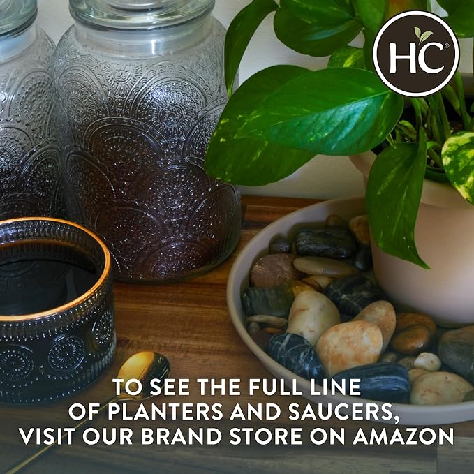 The HC Companies 12 Inch Round Prima Plastic Plant Saucer - Indoor Outdoor Plant Trays for Pots - 12.4 Inchx12.4 Inchx1.5 Inch in Honey