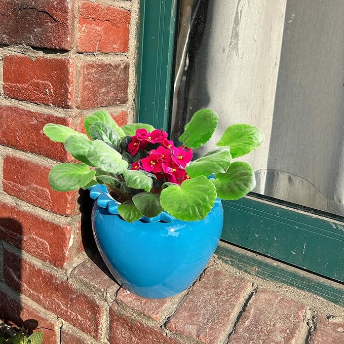 African Violet Flower Pot Blue Ceramic Self Watering Flower Pot 6.5 * 4.6 inch Simple Plant Self Watering Pot High Absorption Herbaceous Simple plant Self Watering Basin