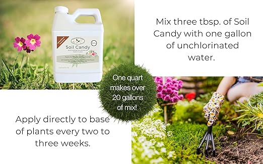 Worm Castings Tea Plant Juice with Bat and Seabird Guanos. Soil Candy, Quart with Added Kelp and Feather Meals and Humic Acid. Soil Restorer - Plant Fertilizer - Compost Starter