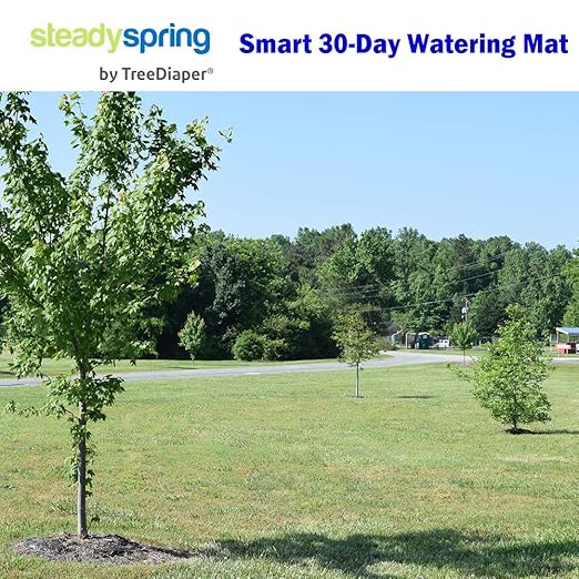 SteadySpring® 24" Smart 30+Day Tree Watering Mat - AUTO Refills with RAIN and Slow Releases As Plant Needs - for Root Balls 11" - 15" Dia Slow Release Technology Prevents Over and Under Watering (1)