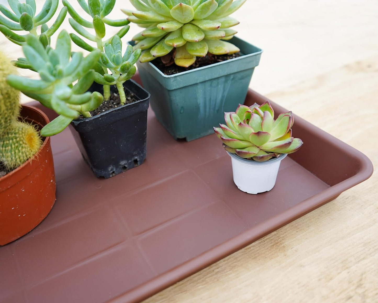 Rectangle Plant Tray, Plant Drip Tray, Plant Pot Saucers, Plant Germination Trays, Plant Saucers, 11'' x 9'' x 1.2'' (2 pack), Chocolate