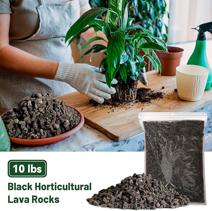 Drainage Rocks for Potted Plants 10LB, Horticultural Lava Rocks for Plants, Succulent Rocks for Pot Indoor, Lava Rock Aquarium Garden Landscaping Volcanic Bonsai Terrarium Fish Tank Decorative Stone