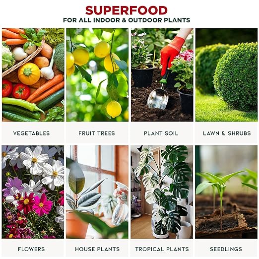 Monstera Plant Superfood - 8 oz - Organic Liquid Kelp Fertilizer for Stunning Growth and Vibrant Foliage