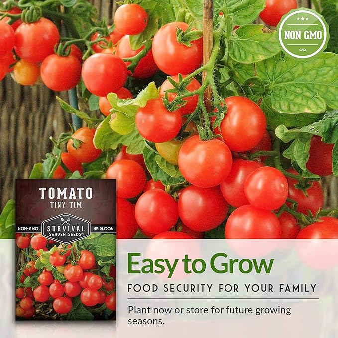 Survival Garden Seeds - Tiny Tim Tomato Seeds for Planting - 5 Packs with Instructions to Grow in Your Home Vegetable Garden - Non-GMO Heirloom Variety
