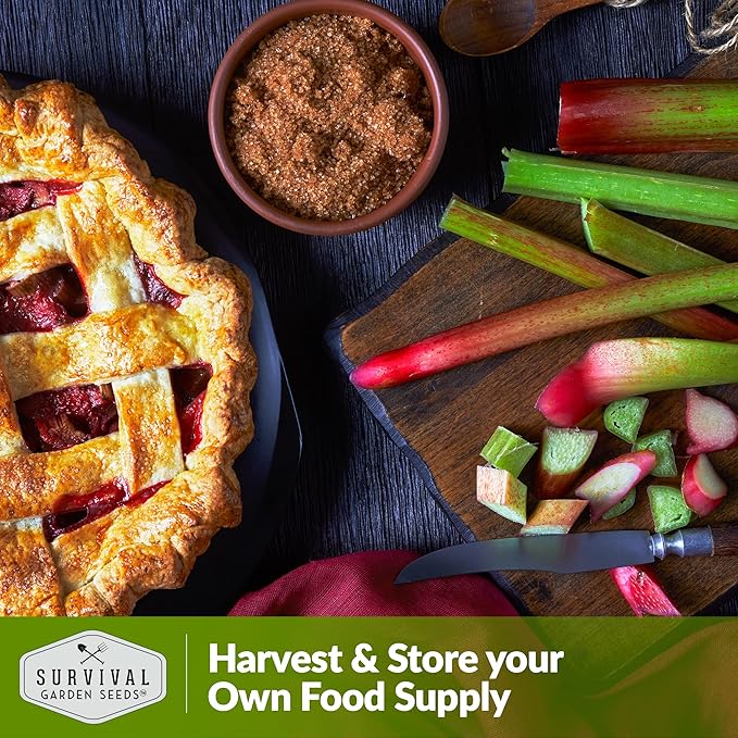 Survival Garden Seeds - Victoria Rhubarb Seed for Planting - 1 Packet with Instructions to Plant and Grow Cold-Tolerant Perennial Spring Vegetables in Your Home Garden - Non-GMO Heirloom Variety