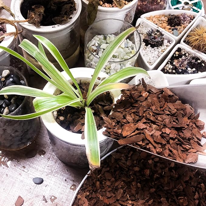 29qt Organic Orchid Potting Bark -Natural Orchid Mulch for Potted Plants, Root Development of Orchid Plants and Garden Soil Amendment MixâŚ
