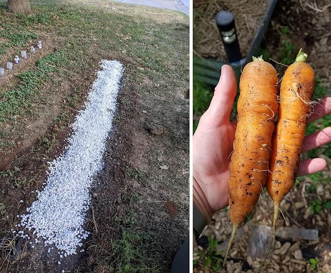 20 QT Professional Grade Horticultural Organic Perlite (20 QT, Perlite)