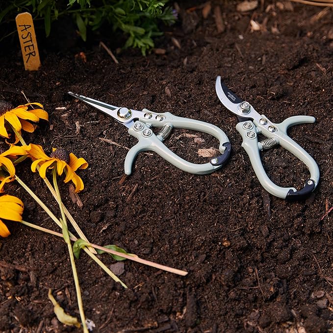Modern Sprout Gardening Pruners, Lightweight, Durable, Green, One Size