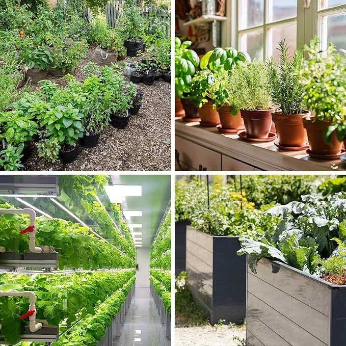 25 Varieties Vegetable & Herb Seeds for Planting, 10,000+ Heirloom Culinary Veggie Herb Seeds Collection Gift Pack, Non-GMO Herb Seed Garden Kit for Indoor Outdoor Growing, Home Fresh Food Supply