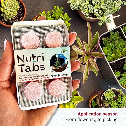 Plant Food for Houseplants - 3 Packs Pink “Start Boosting” Mineral Tablets; Nitrogen Rich Fertilizer; Indoor/Outdoor Plant Food for High Impact Growth; Garden, Tree and House Plant Fertilizer