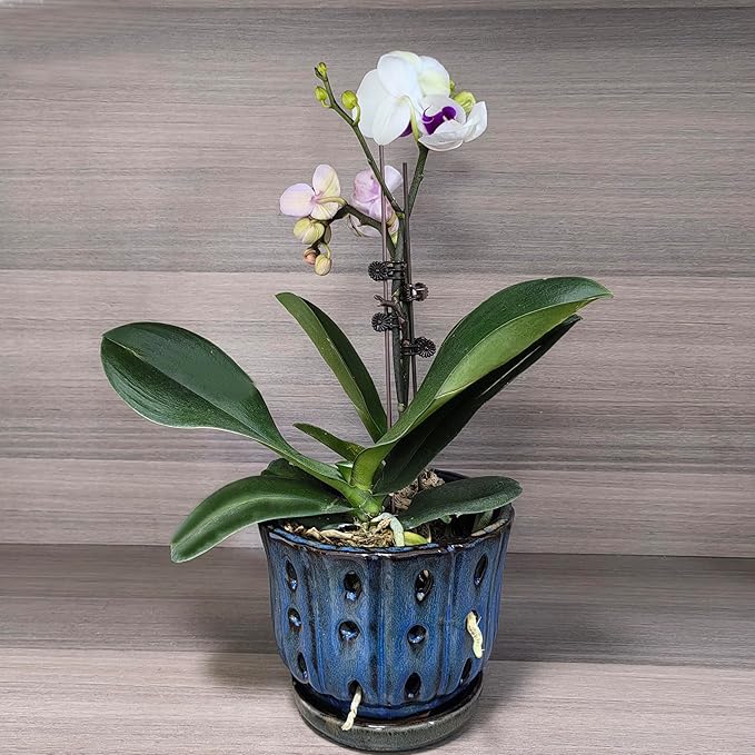 6 inch Round Ceramic Orchid Pot with Holes Orchid Planter (Dark Blue)