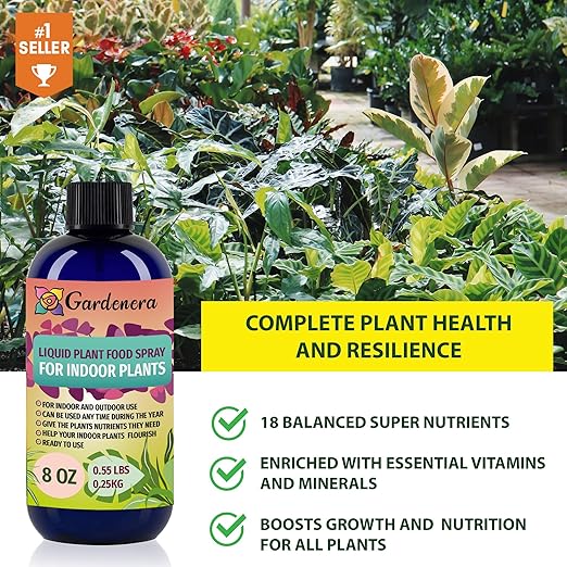 Plant Growth Superfood for All Plants with 18 Essential Vitamins & Minerals - Organic Plant Food Fertilizer - Micro-Fungi and Bio-Organisms for All-Purpose Care & Growth Enhancement - 32oz