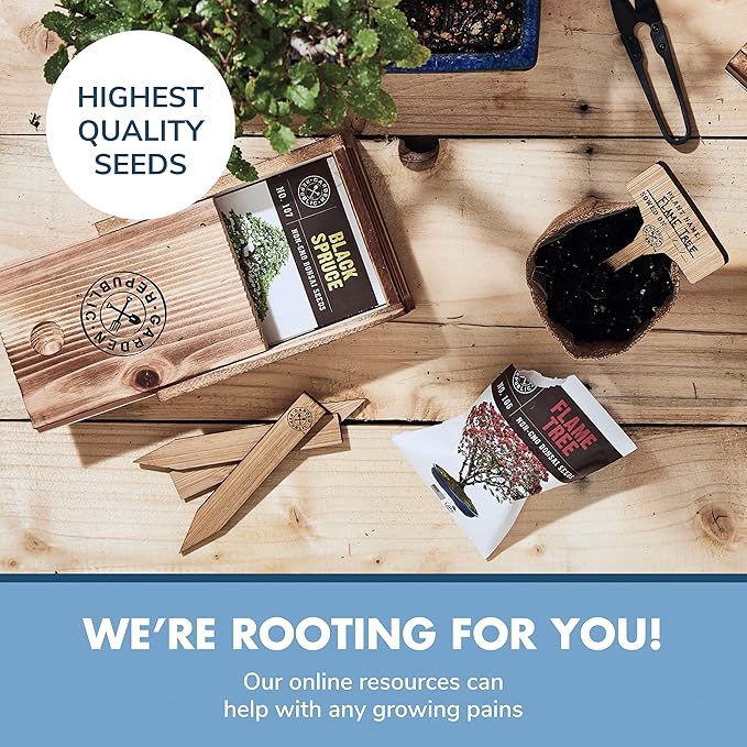 Bonsai Tree Seeds Kit - 8 Popular Varieties of Non GMO Mini Bonsai Trees, Bamboo Plant Markers, Wood Gift Box - Bonzie Tree Seed Starter Kits, Grow Bonzai Indoor, Fathers Day Gardening Gifts Idea