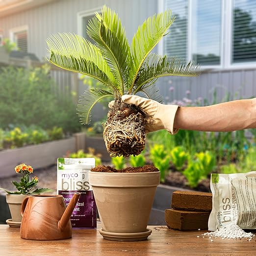 Myco Bliss Granular (2lbs) - Mycorrhizal Fungi for Plants - 5 Strain Mycorrhizal Inoculant with 1000 Propagules Per Gram - Highly Concentrated Mycorrhizae for Plants, Potting Soil, & Garden Soil