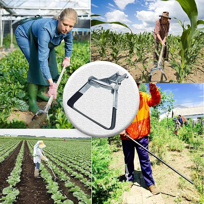 Stirrup Hoe Gardening Tools Hula Hoe Replacement Head 304 Stainless Steel 2 Pack