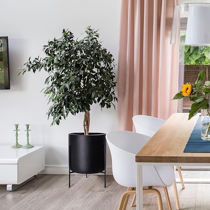 D'vine Dev Mid Century Plants Pot Cylinder Planter with Heavy Duty Stand, XX-Large 16 Inch Pot, 22.8 Inch with Stand Height, Black, 96-T-B-5