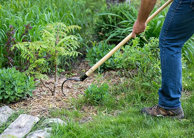 CobraHead® Long Handle Weeder & Cultivator Garden Tool - Forged Steel Blade - Natural 48-Inch Hardwood Handle - Ergonomically Designed for Digging, Edging & Planting - Perfect for Big Gardening Jobs