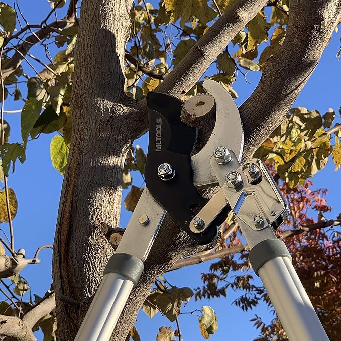 Ratcheting Extendable Bypass Lopper for Gardening - Heavy Duty Ratchet Lopper 39½" Extendable Long Handle – Chops Through 1-3/4” thick Branches – Ideal for All Gardening Enthusiasts - L8230