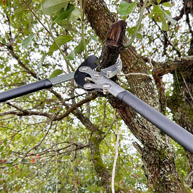Loppers for Tree Trimming Heavy Duty Branch Cutter Tree Clippers with Compound Action, Chops Thick Branch Ease, Garden Lopper Pruning, 32 Inch Tree Trimmer with 2" Clean Cut Capacity