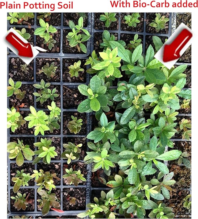 Bio Carb All Natural Hi-Impact Soil Amendment