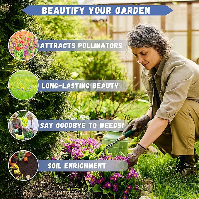 1000+ Perennial Marigold Flower Plant Seed Outdoor-Attracts Bees&Butterflies Fragrant Butterfly