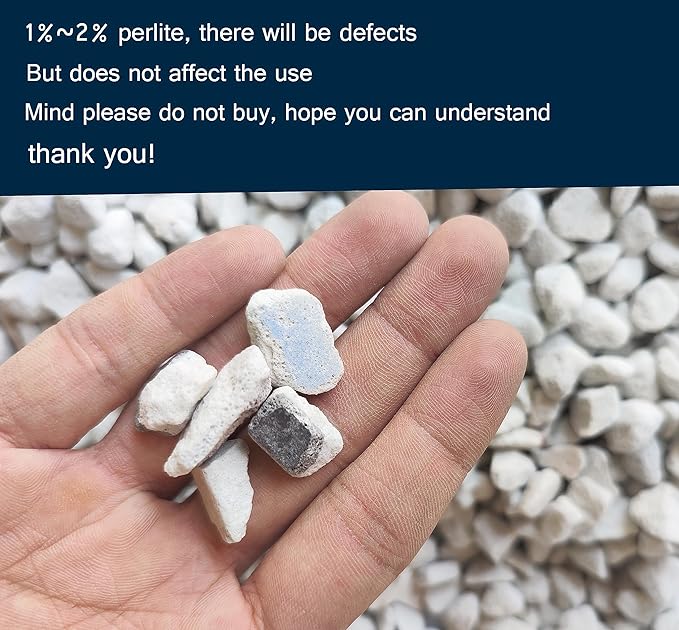 2 QT Professional Grade Horticultural Organic Perlite (2 QT, Large Size - Perlite)