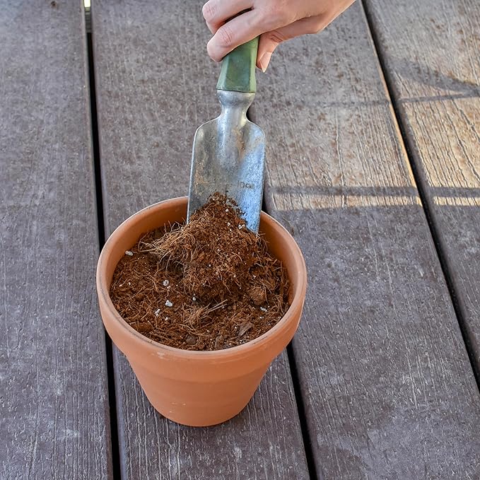 Tropical House Plant Potting Mix (2 Quarts); for All Types of Indoor House Plants