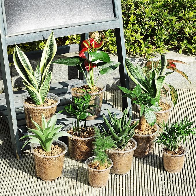 60 Pack 6 Inch Clear Nursery Pots with Drainage Holes, Transparent Plastic Pots for Plants, Reinforced Seed Starter Pots Garden Pots Flower Pots Come with 50pcs Plant Labels