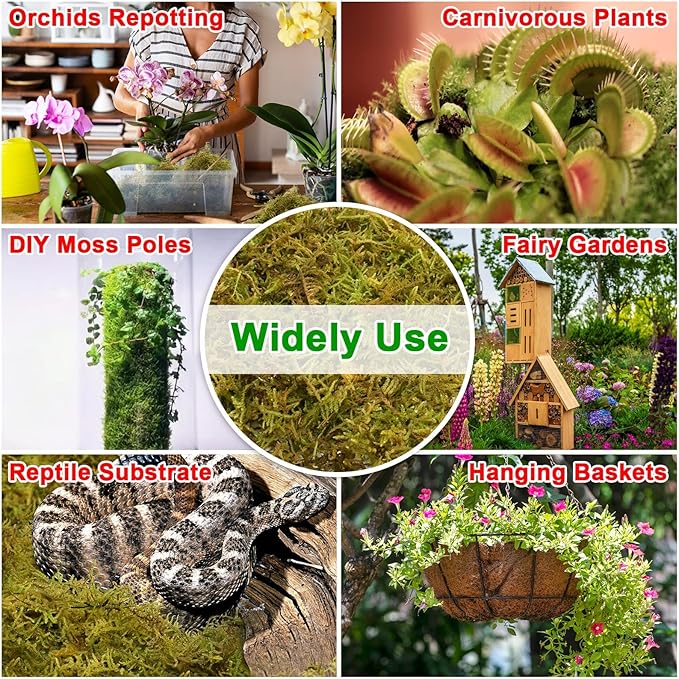 Halatool 3.3LB Green Forest Moss Natural Sphagnum Moss for Plants Fluffy Orchid Moss for Orchids Repotting Dried Plant Moss for Potted Plants Indoor & Outdoor