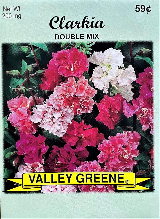 Set of Flower Seed Packets! Flower Seeds in Bulk - Great for Creating The Garden of Your Dreams! (25, Clarkia - Double Mix)