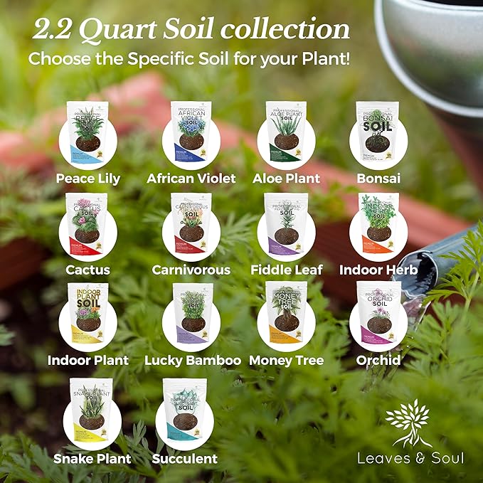 Large Bag Succulent Soil Premium All Purpose Blend | Pre-Mixed Ready to Use for Cactus and Succulents | Canadian Peat, Course Sand, Pinebark | Extra Large 8.2 Quarts | Made in USA