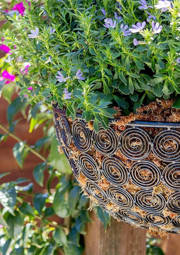 SuperMoss 7 59834 22303 0 Orchid Sphagnum Moss, 1400 in3 Bag (Appx. 32oz), Natural White