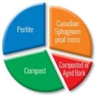 Black Gold Organic in/Outdoor Potting Soil, 16 Quart Bag (1)