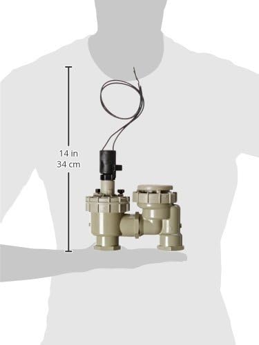 TORO CO M/R IRRIGATION L7010 Anti-Siphon Valve, 1-Inch