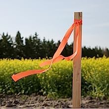 Greenes Fence 3 Ft. Wooden Garden and Sign Post Stakes (100-Pack)