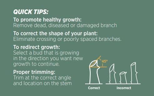 Premium Heavy Duty Ratchet Pruning Shears, Professional Hand Pruner Garden Tool, Ergonomic Grip, 8 Inch yard clippers, Quality Carbon Steel with Ratchet Mechanism, ideal for women, senior