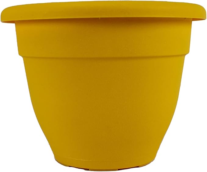 The HC Companies 6 Inch Caribbean Planter - Lightweight Indoor Outdoor Plastic Plant Pot for Herbs and Flowers, Honey
