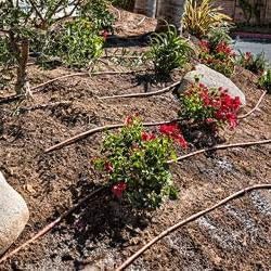 DIG A1-112P 17 MM EXCEL PCD Dripline with two outlets, 100 ft .95 GPH, 12 in. Spacing, for even irrigation uniformity along the dripline (.570 in. ID x .670 in. OD), Brown