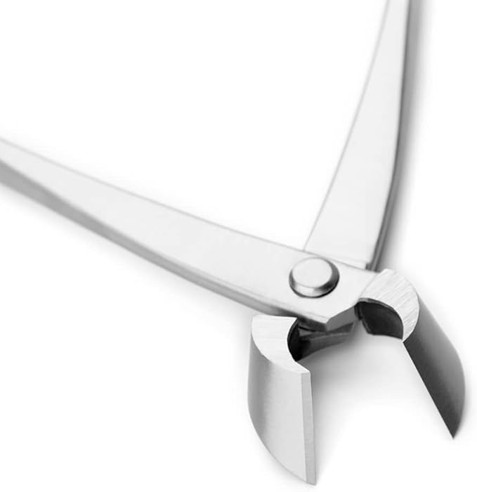 TianBonsai Bonsai Tools 205 mm Straight Edge Cutter Branch Cutter