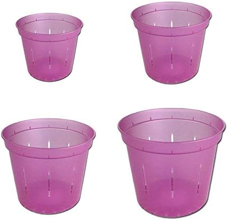 rePotme Slotted Clear Orchid Pots Growers Assortment (8 pots - 2 Each, Rose Quartz)