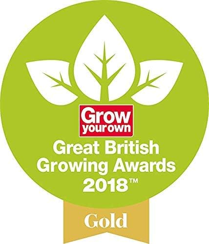 Spear & Jackson 5040WF Traditional Stainless Weedfork