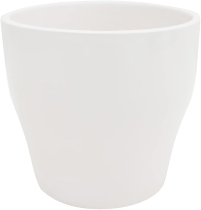 Costa Farms Live Cactus, Live Indoor Desert Gem Cactus in White Ceramic, 7-Inches Tall | Valentines Day Gift | Valentines Day Decoration