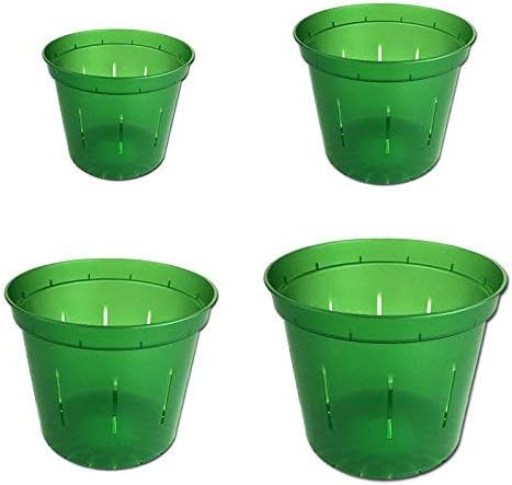 rePotme Slotted Clear Orchid Pots Growers Assortment (8 pots - 2 Each, Green Emerald)