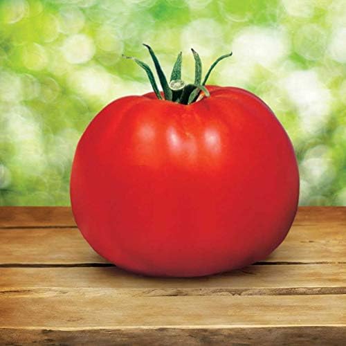 Park Seed Variety of Tomato Vegetable Seeds, Plant Seeds, Easy to Grow, Perfect for Harvesting, Whopper CR Improved Hybrid, Pack of 250