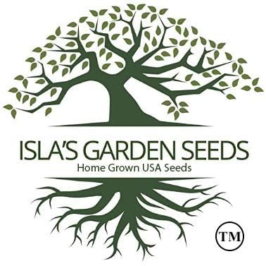 Black Oil Sunflower Flower Seeds for Planting, 150+ Flower Seeds Per Packet, (Isla's Garden Seeds), Non GMO & Heirloom Seeds, Scientific Name: Helianthus annuus, Great Flower Garden Gift