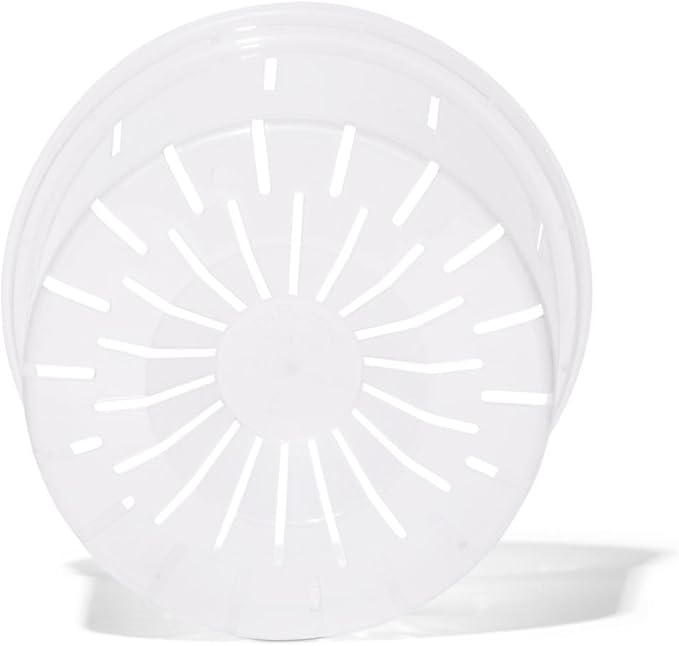 rePotme Orchid Pot - 6 inch Slotted Clear Orchid Pots - 3 Pack (Crystal Clear)