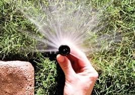 Rain Bird 1806VAN 5-Pack - 6" Pop-up Professional Sprinkler (9" Body Length!) - Adjustable Pattern (0 to 360 Degrees) ***Please Read BULLETPOINTS Before Ordering***