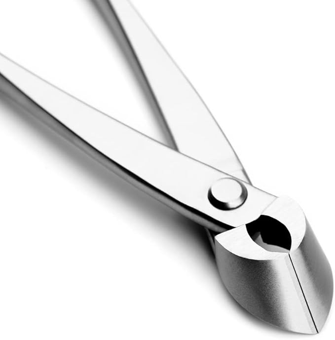 TianBonsai Bonsai Tools 205 mm Straight Edge Cutter Branch Cutter