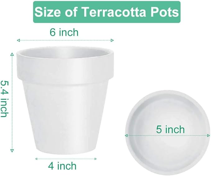 vensovo 6 Inch White Terracotta & Clay Pots for Plant with Saucer - 4 Pack Medium Terra Cotta Planter with Drainage Hole, Flowerpot for Indoor Outdoor Plants, Crafts, Wedding Favor